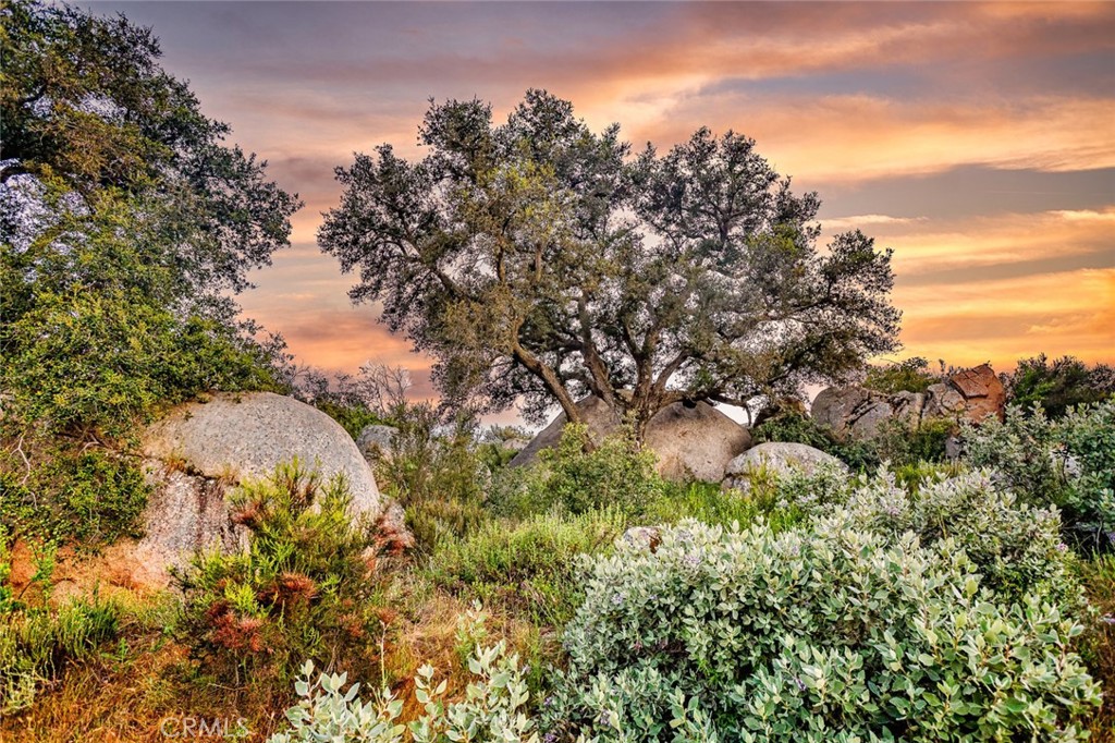 42050 Avenida Escala