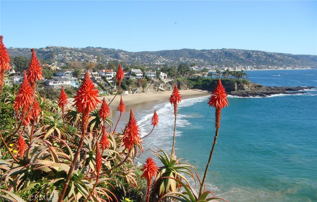 4001 Calle Sonora 1B