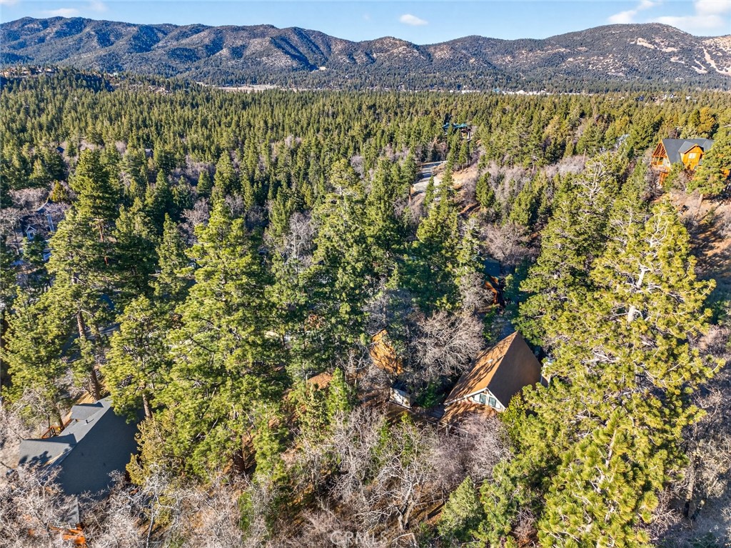 845 Villa Grove