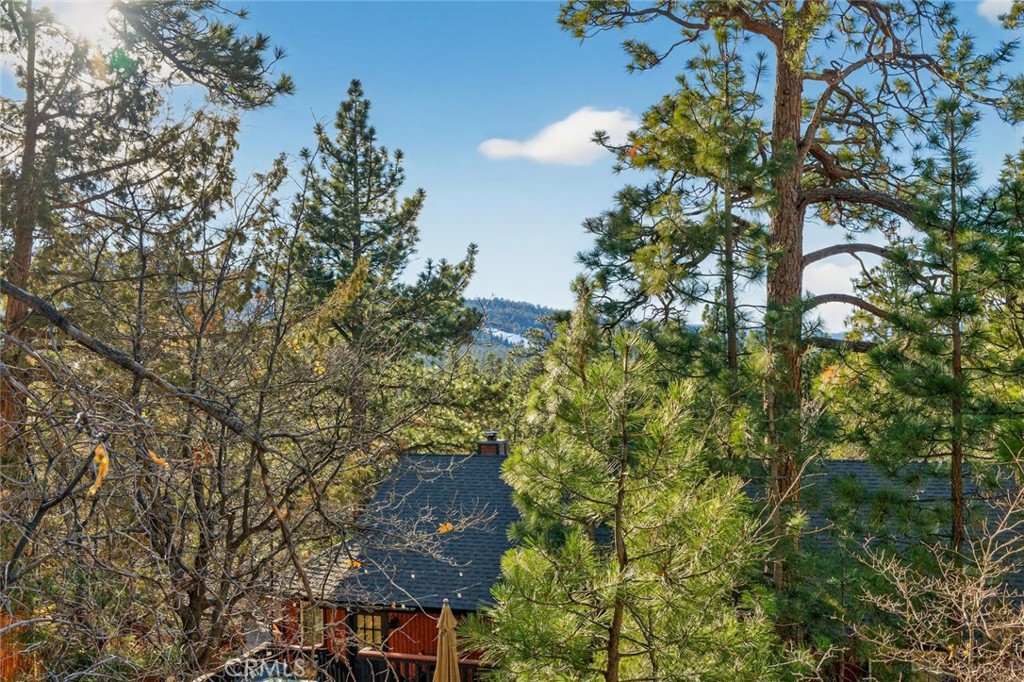 845 Villa Grove