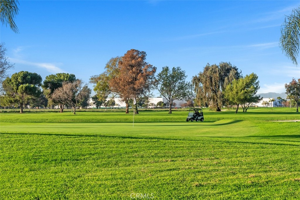 5971 Paradise Circle