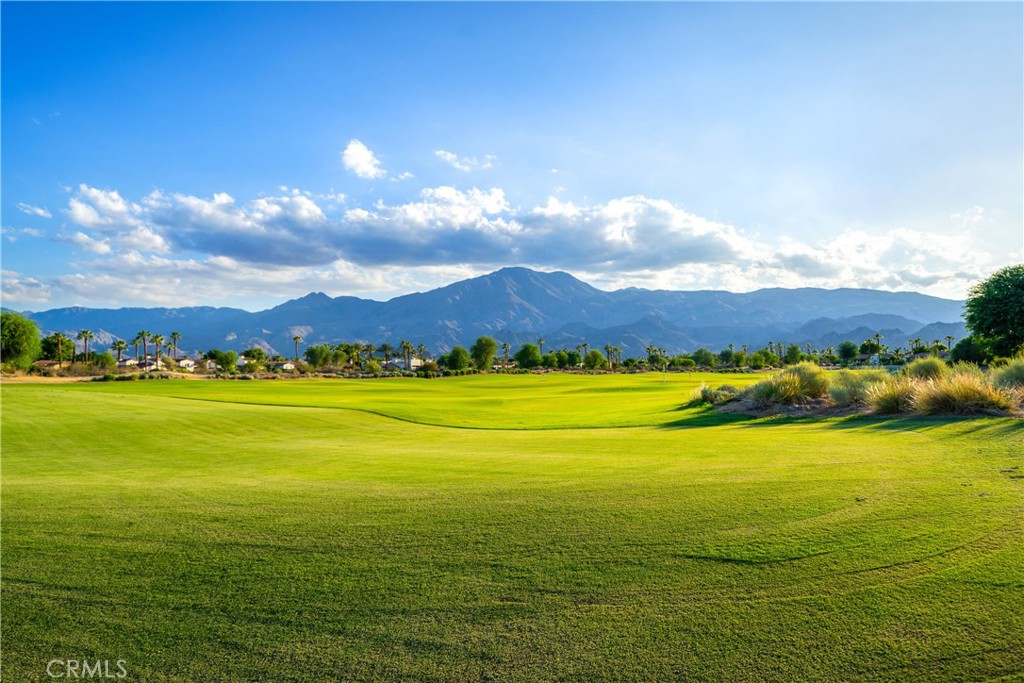 55215 Medallist Drive