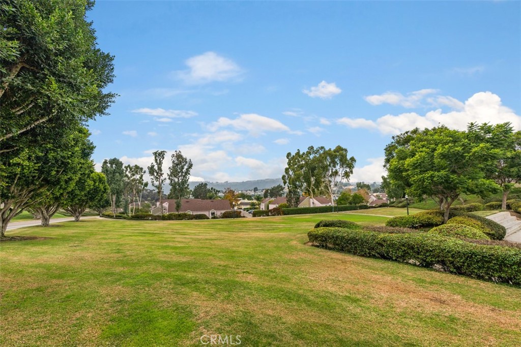 12 Pickney Close