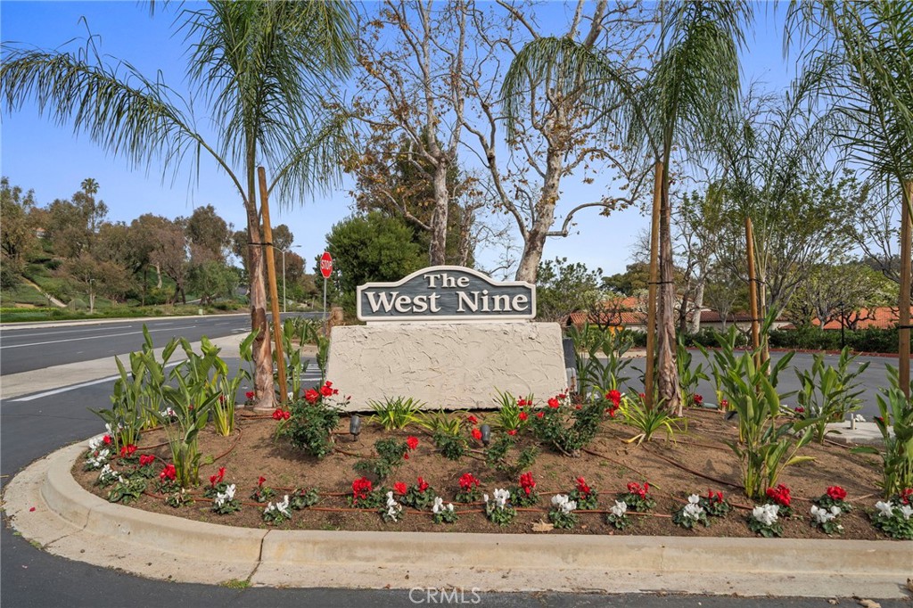 31414 W Nine