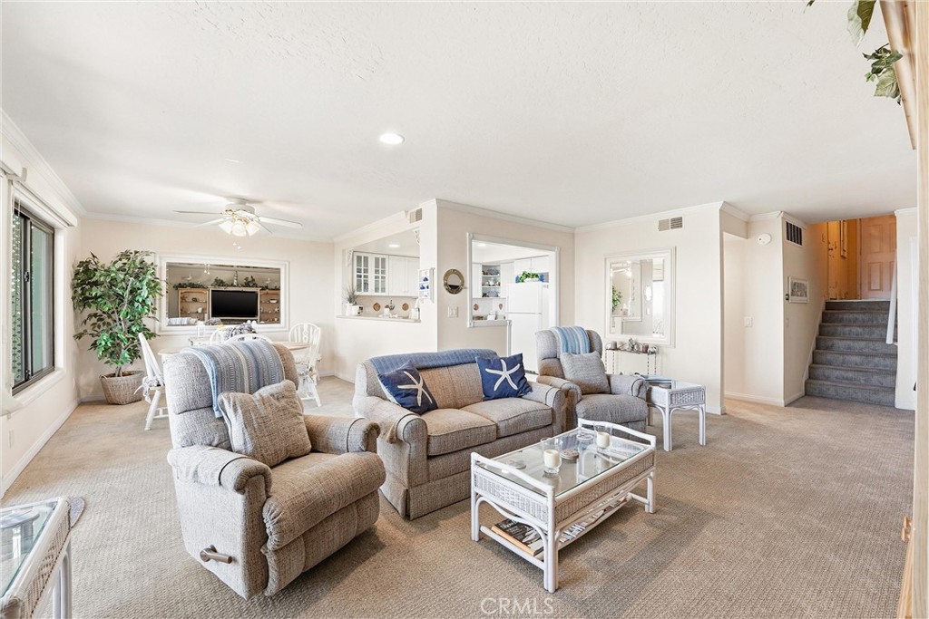 102 #C Calle Patricia