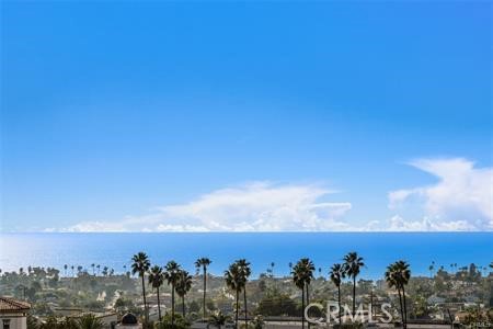 102 #C Calle Patricia