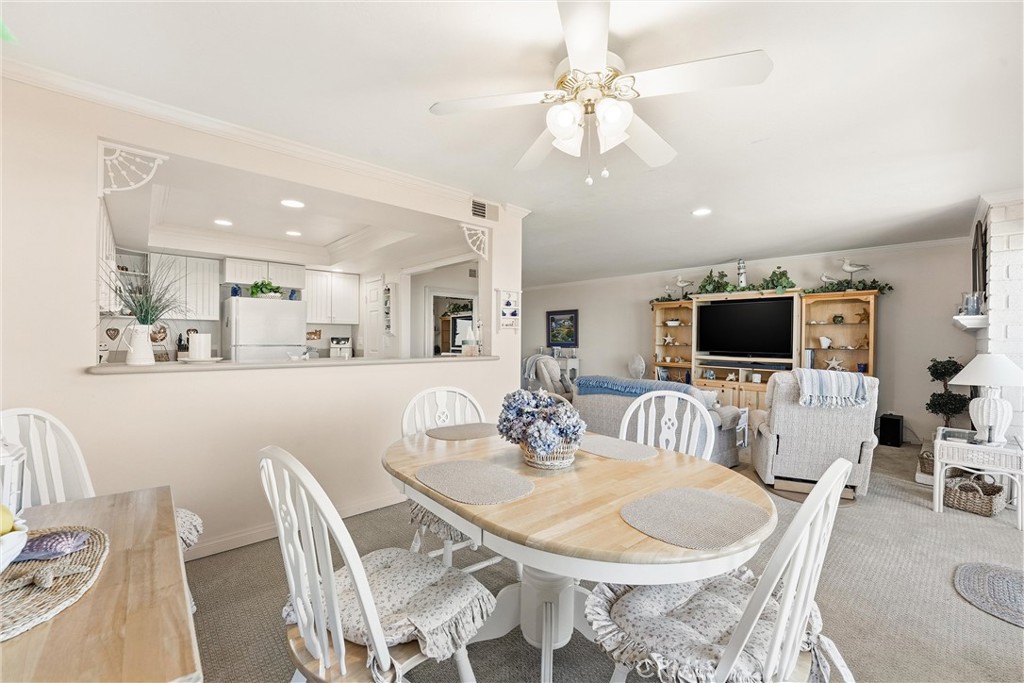 102 #C Calle Patricia