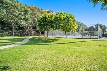 102 #C Calle Patricia