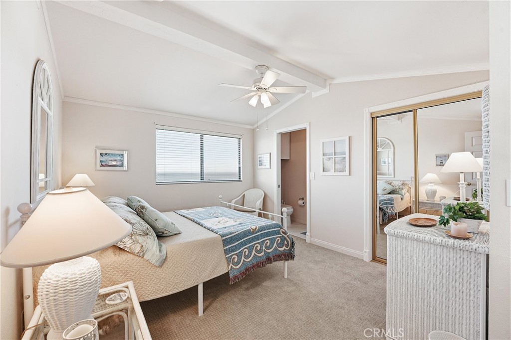 102 #C Calle Patricia