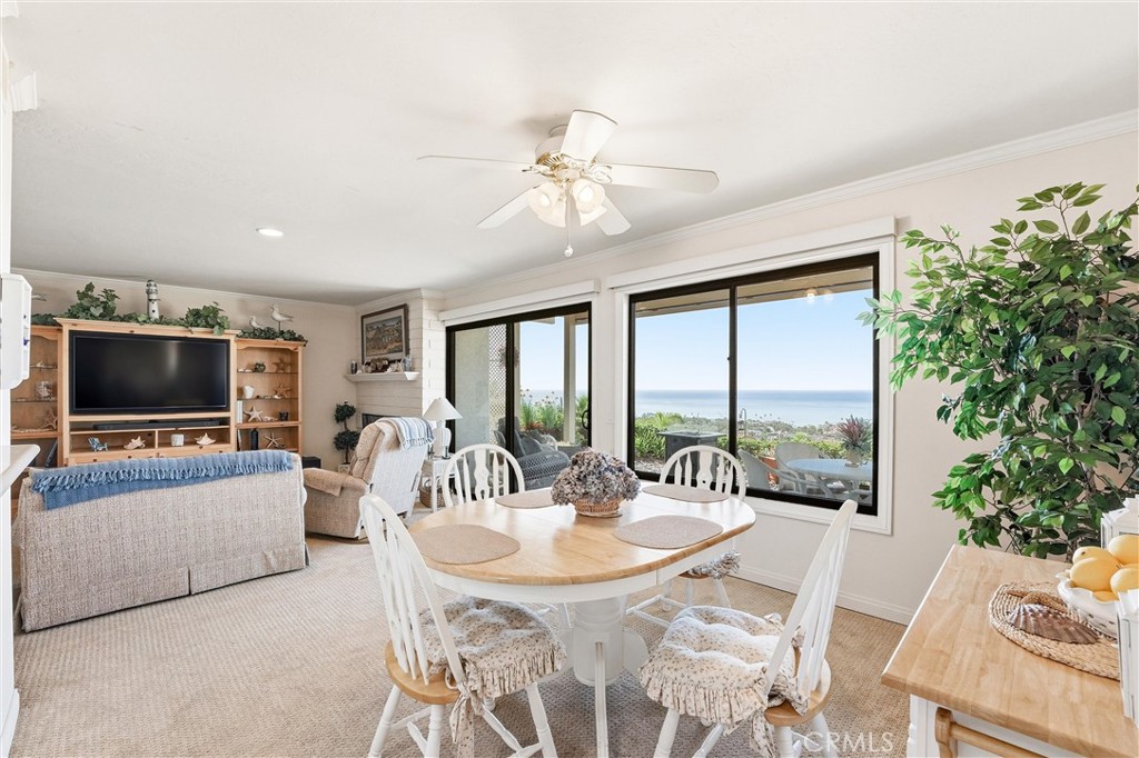 102 #C Calle Patricia