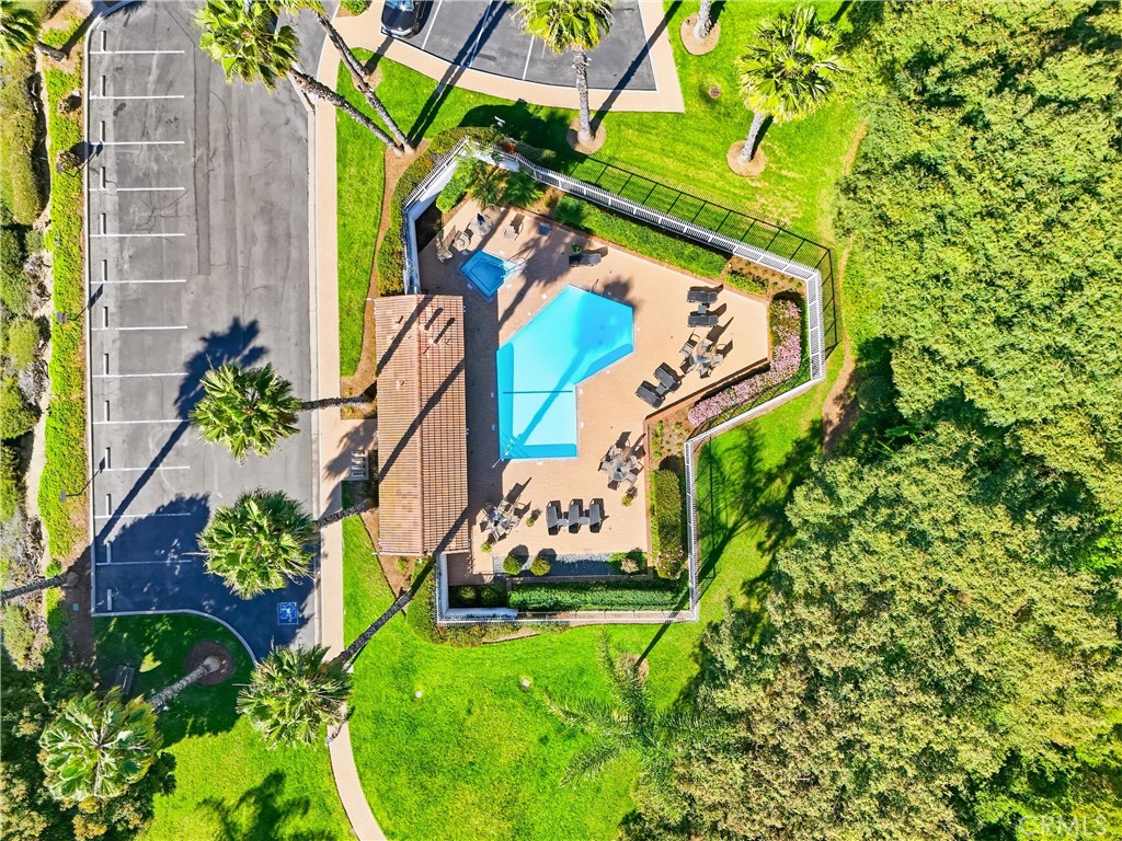 102 #C Calle Patricia