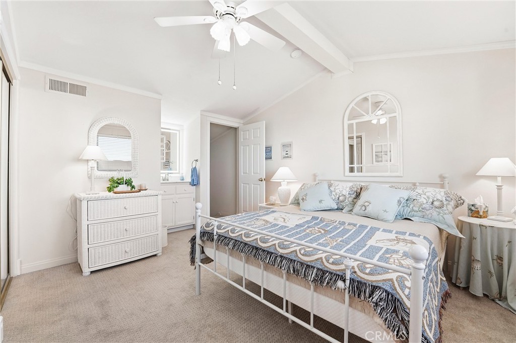 102 #C Calle Patricia