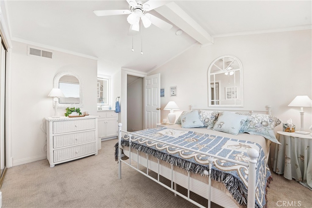 102 #C Calle Patricia