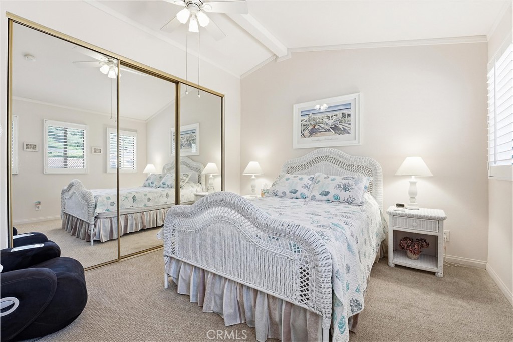 102 #C Calle Patricia