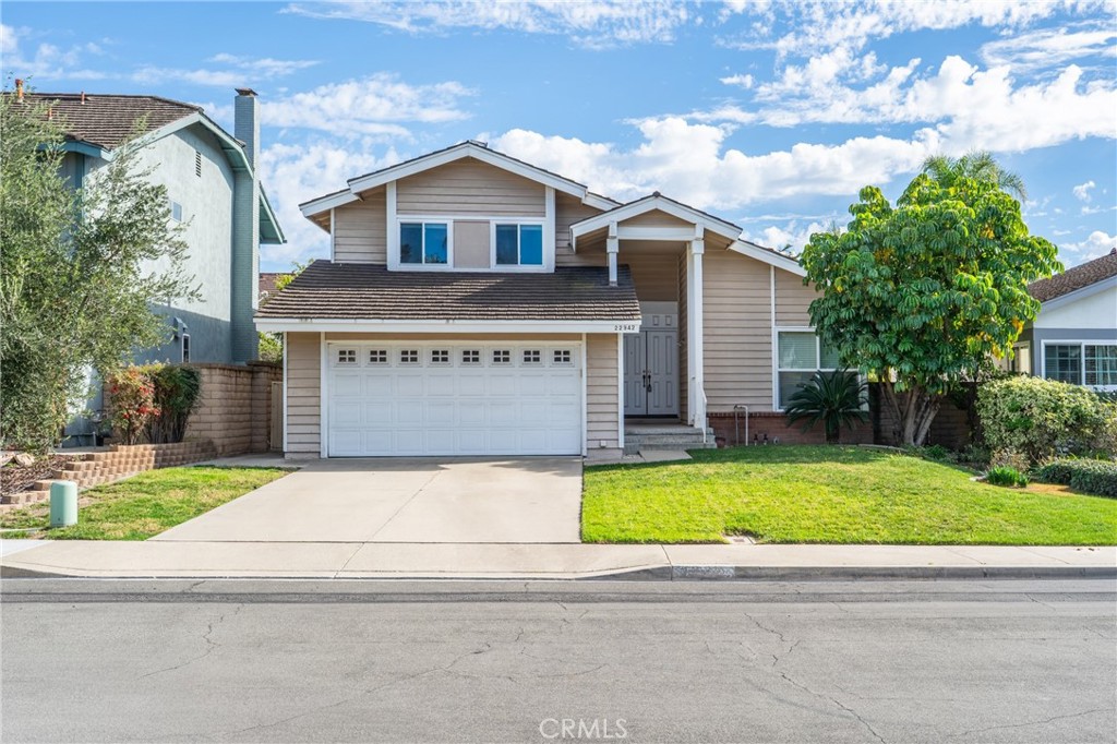 22942 Broadleaf