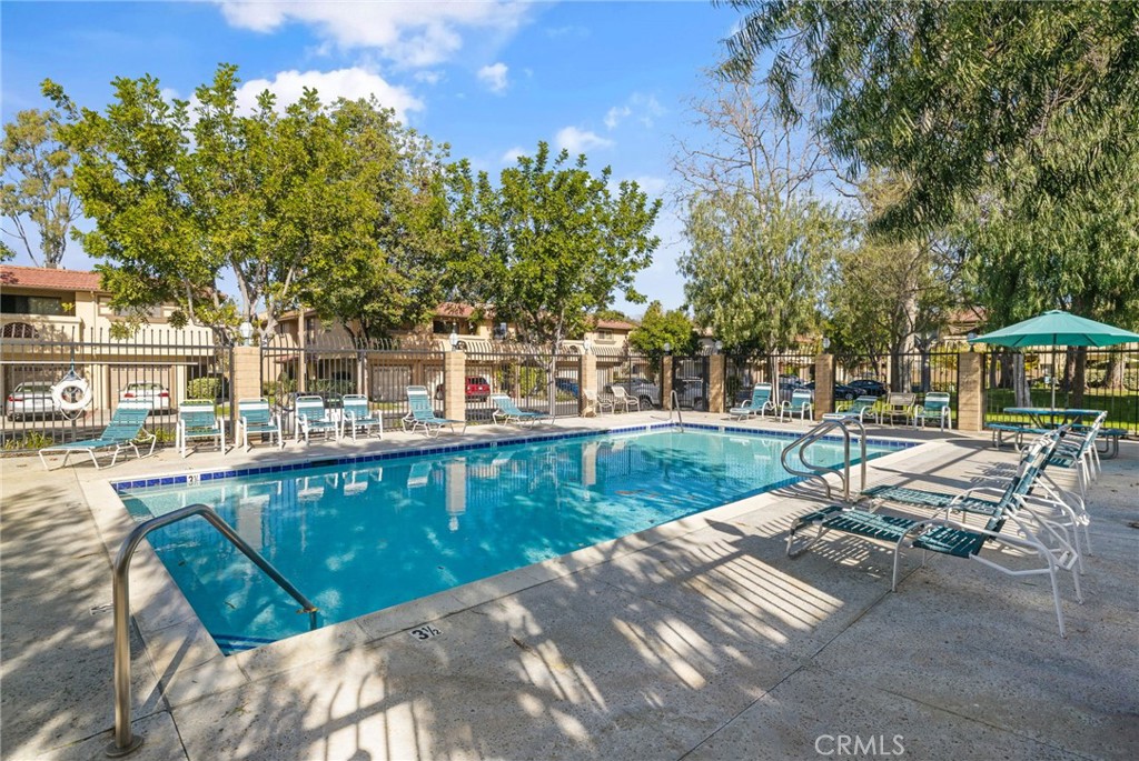 25224 Birch Grove Lane 3