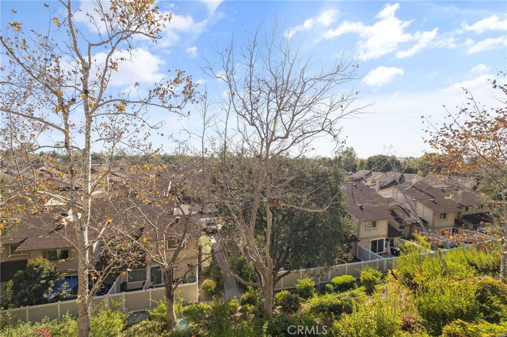 25224 Birch Grove Lane 3