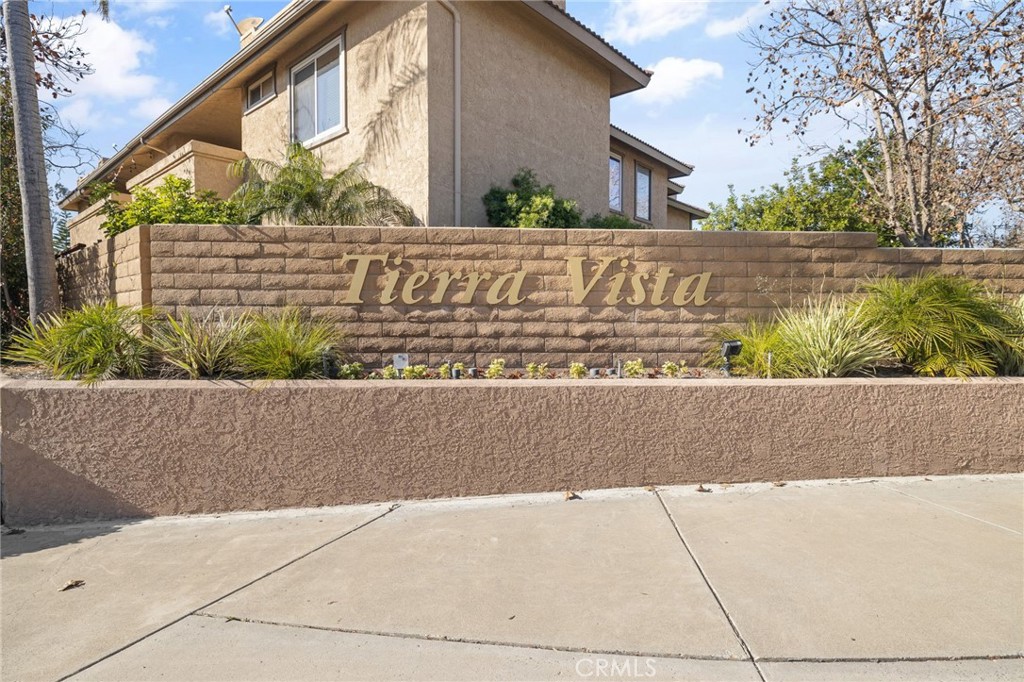 25224 Birch Grove Lane 3