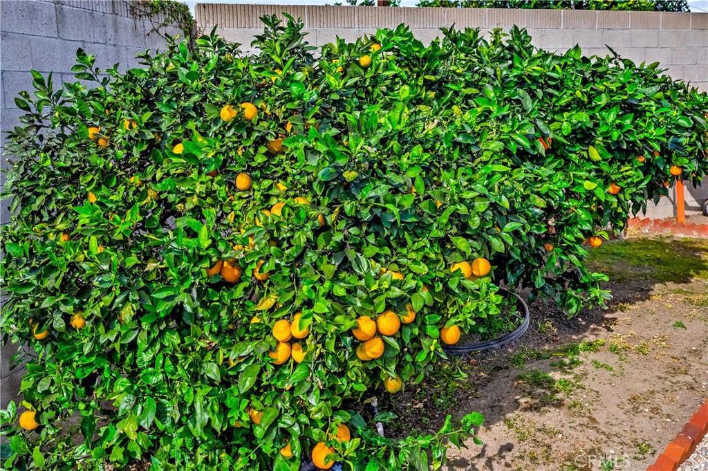 3080 W Glen Holly Drive