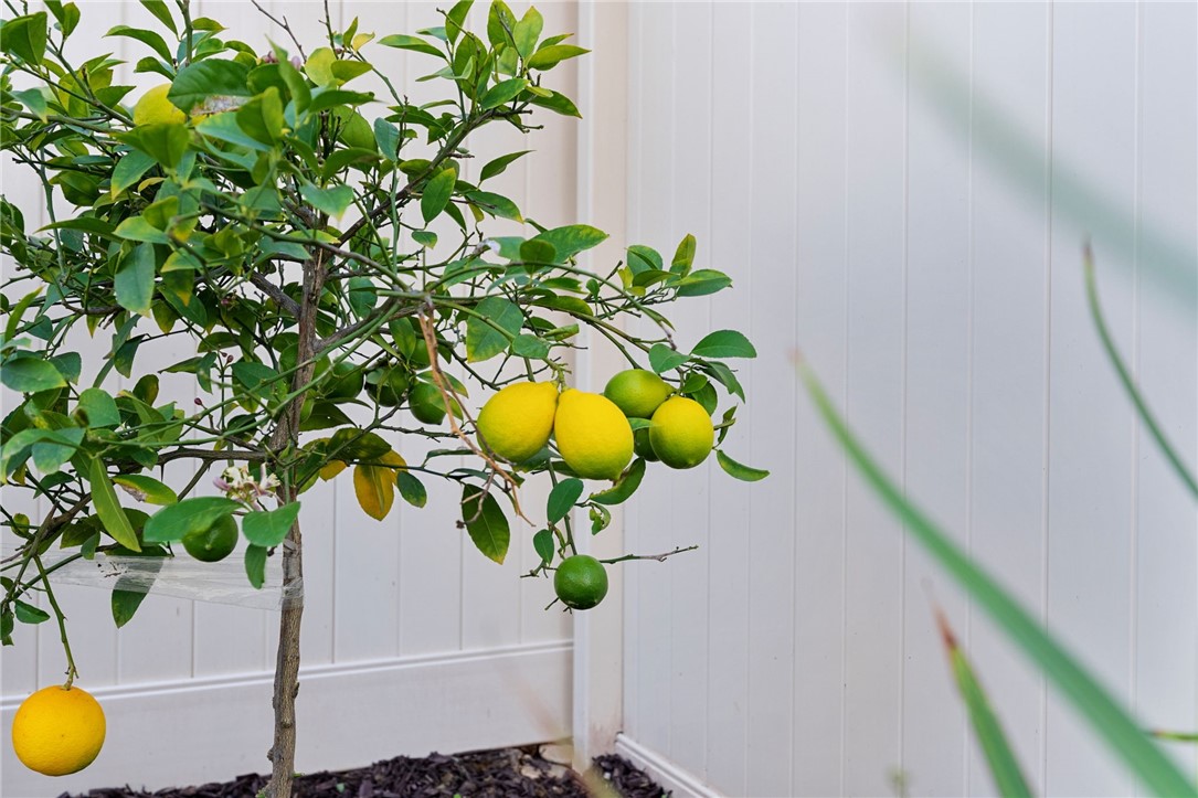 36628 Diego Springs Avenue