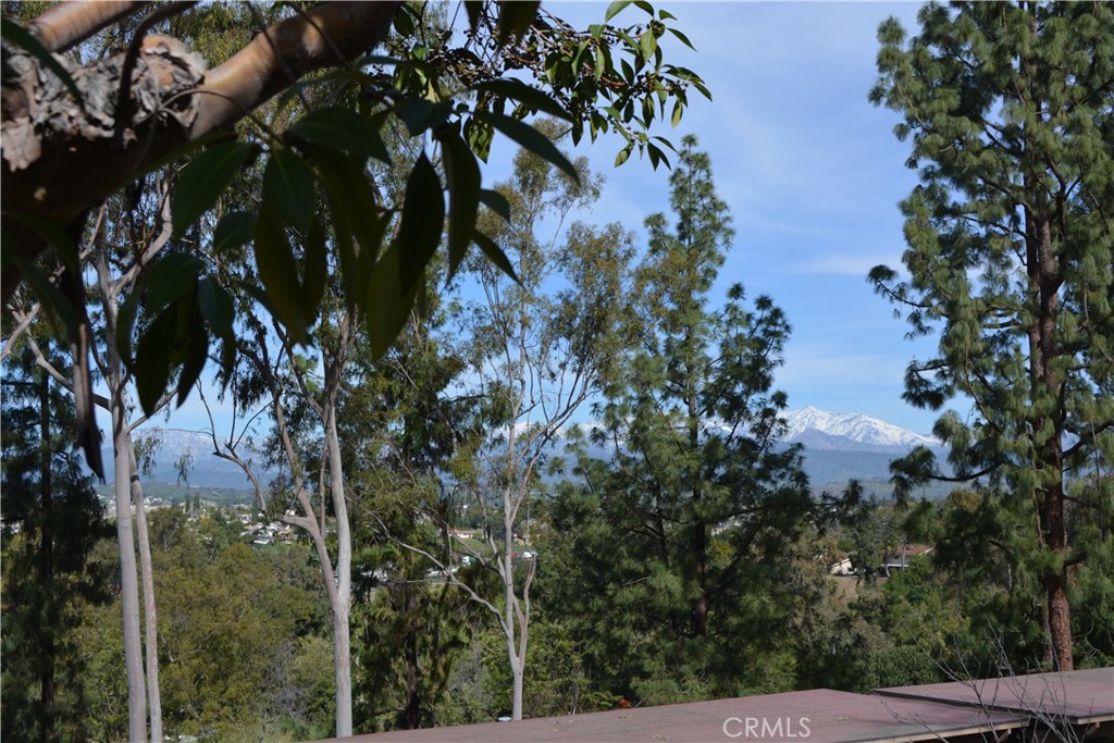 22812 22812 Hilton Head 44