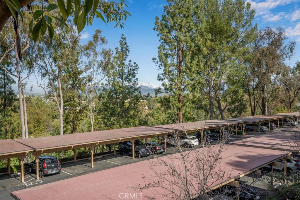 22812 22812 Hilton Head 44