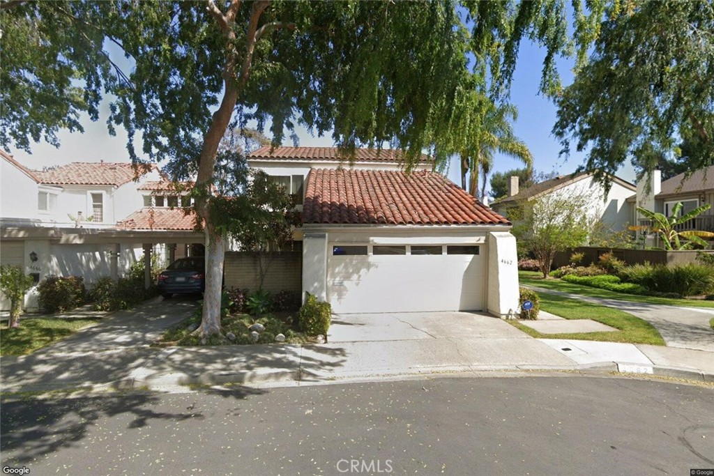4662 Sierra Tree