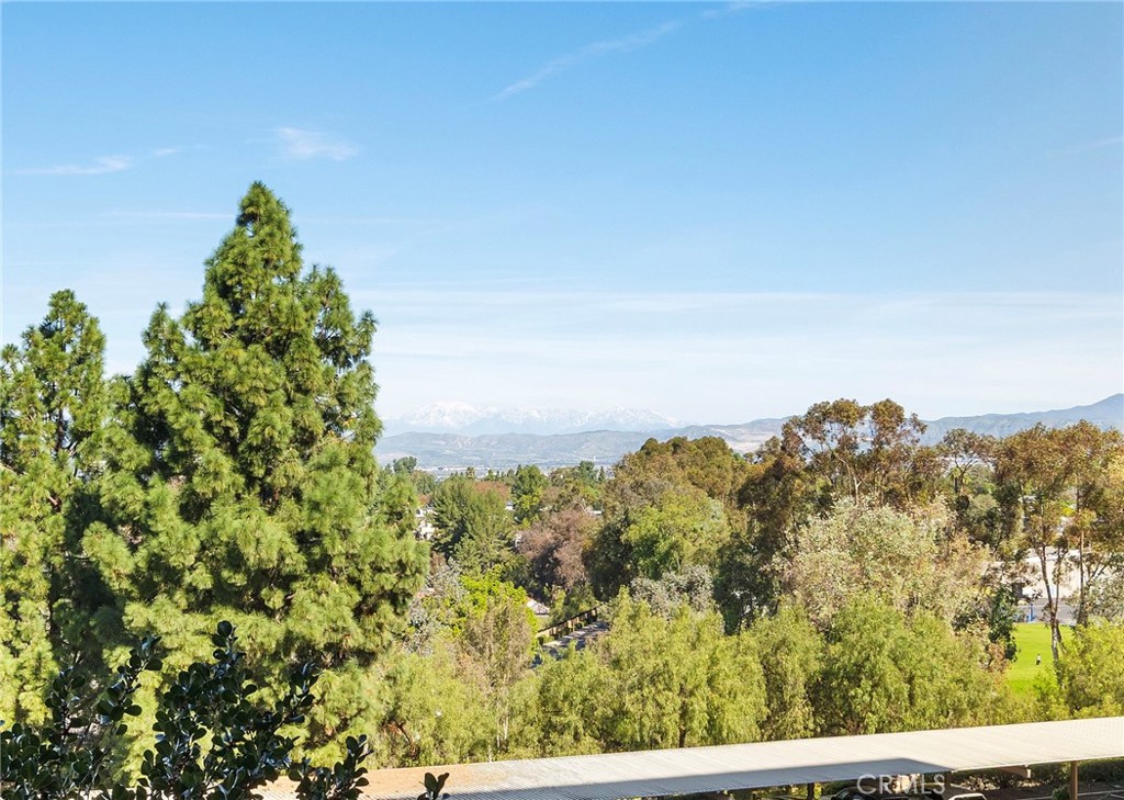 24055 Paseo Del Lago