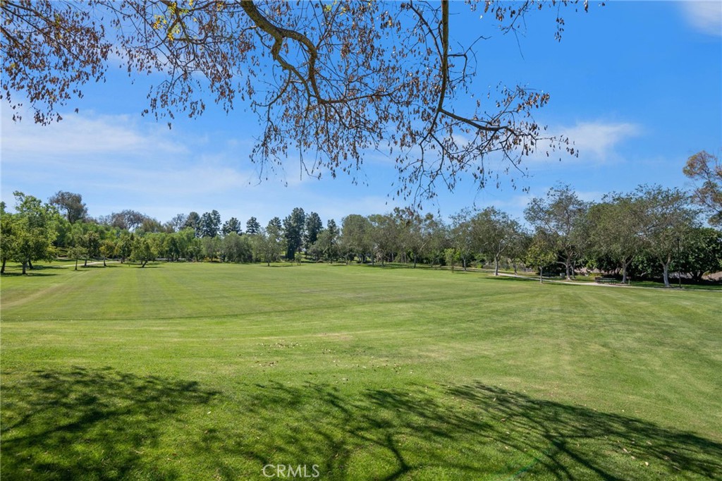 25652 Rimgate Drive 1D