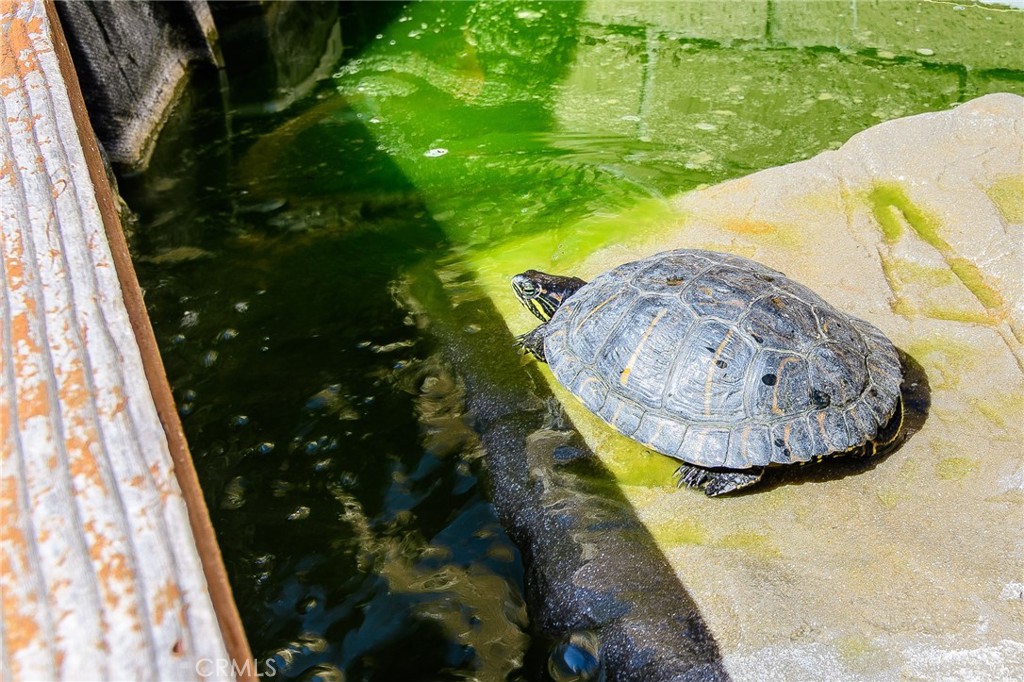 18237 Solano River Court