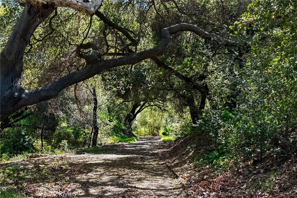 1920 Flint Rock Road