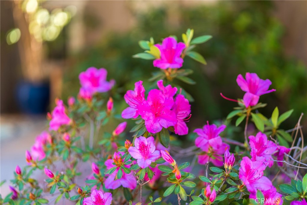 1920 Flint Rock Road