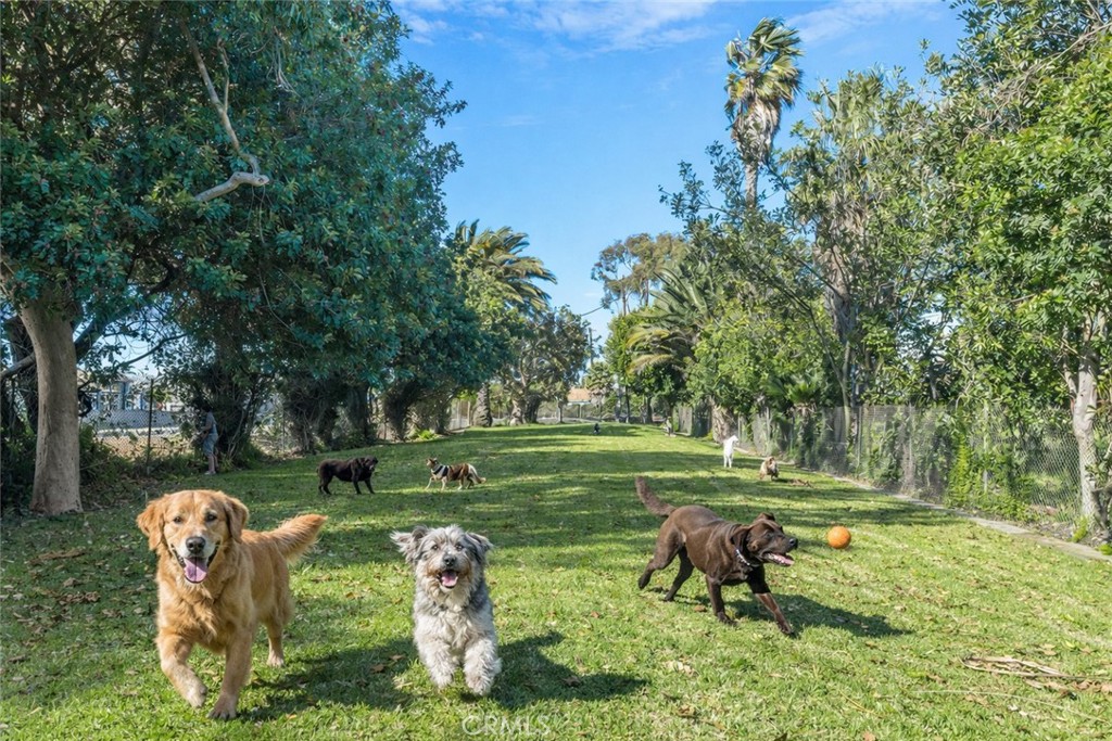 4482 Shorebird Street