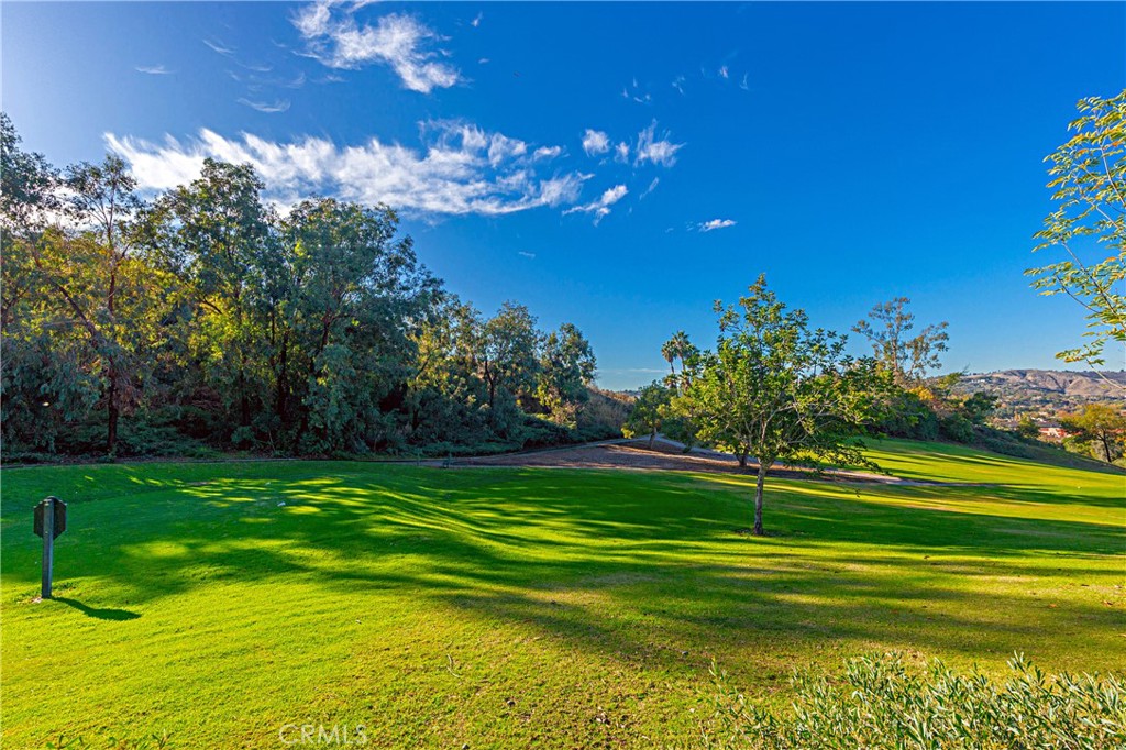 27196 Paseo Lomita
