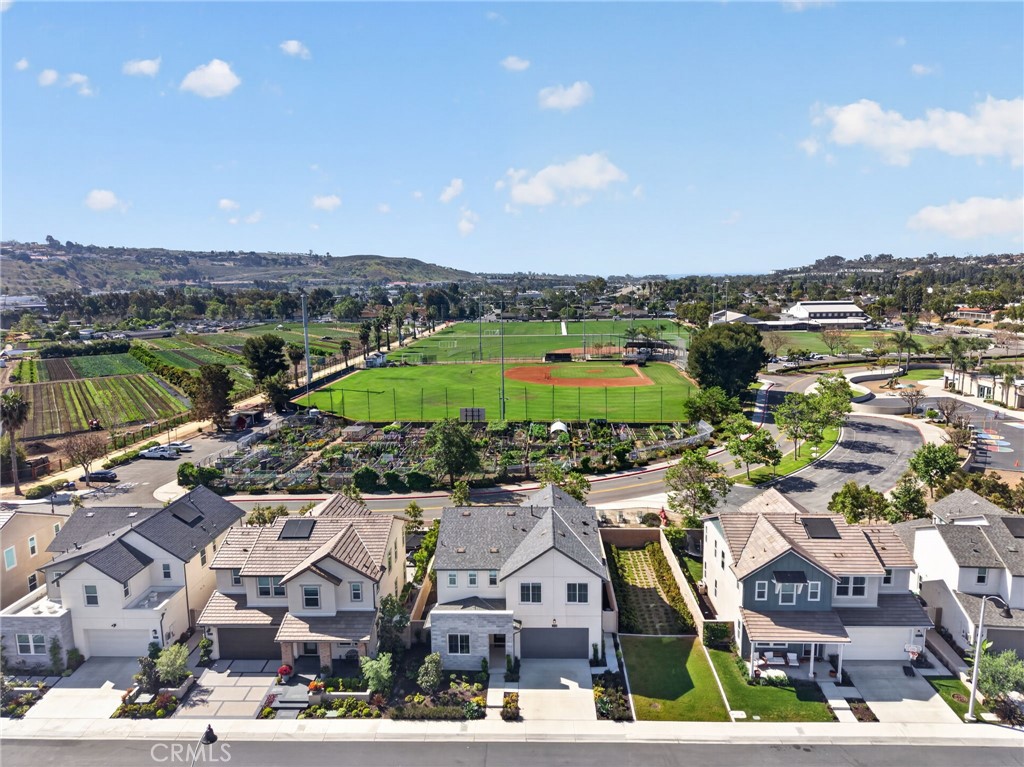 26018 Meadow Drive