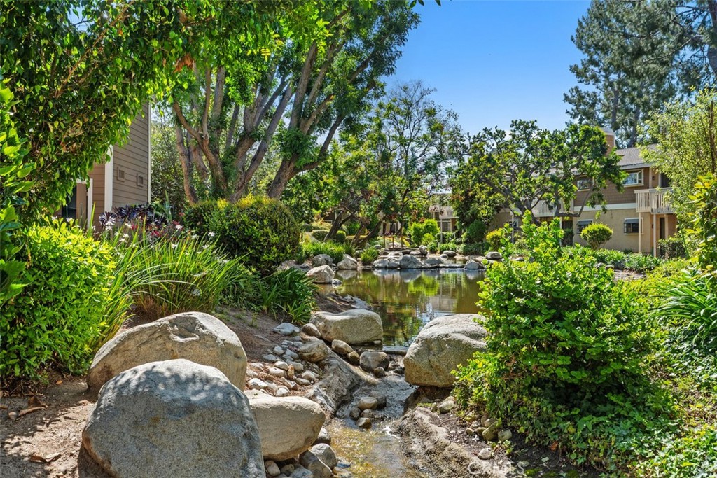204 Pineview