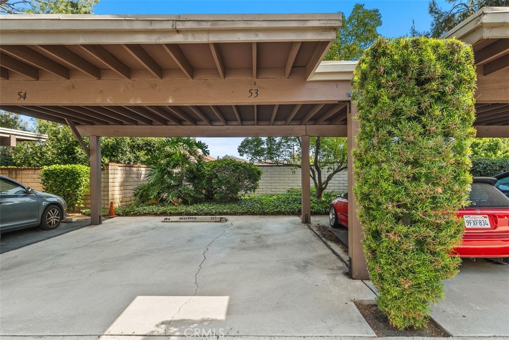 204 Pineview