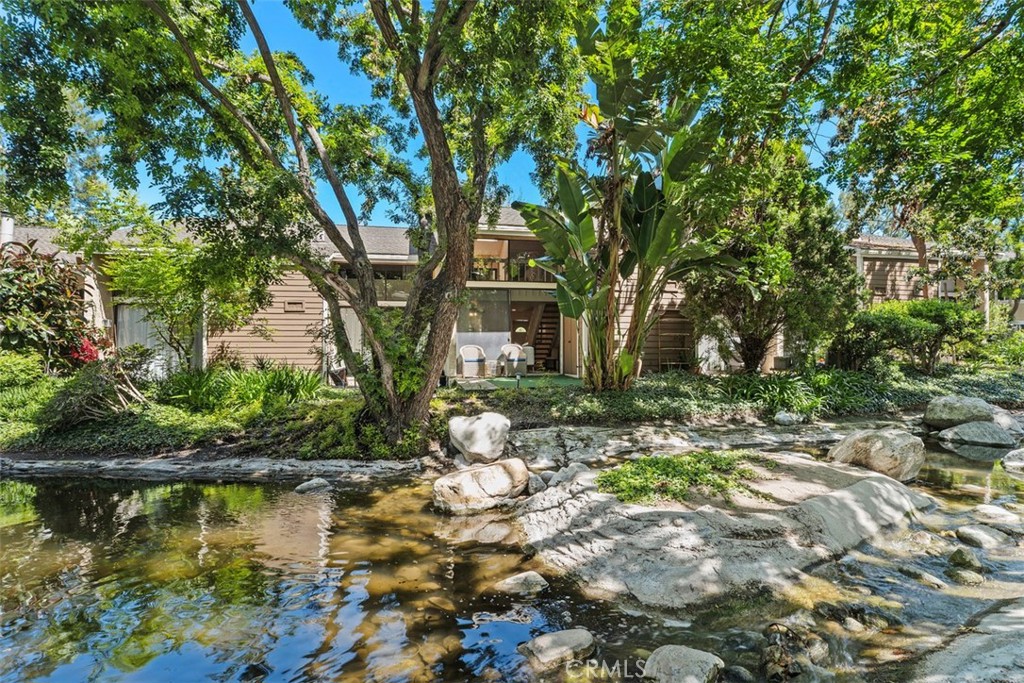 204 Pineview
