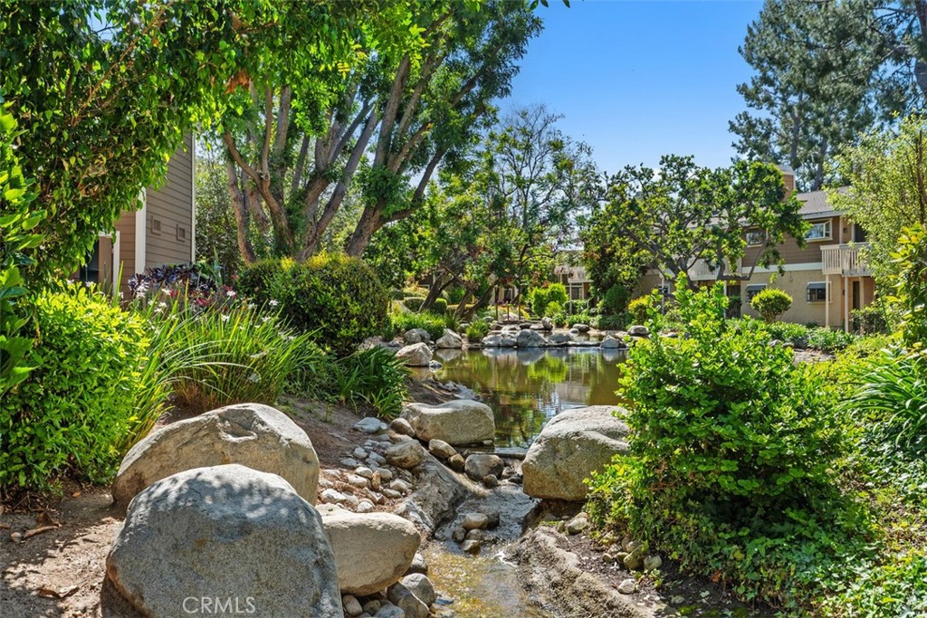 204 Pineview
