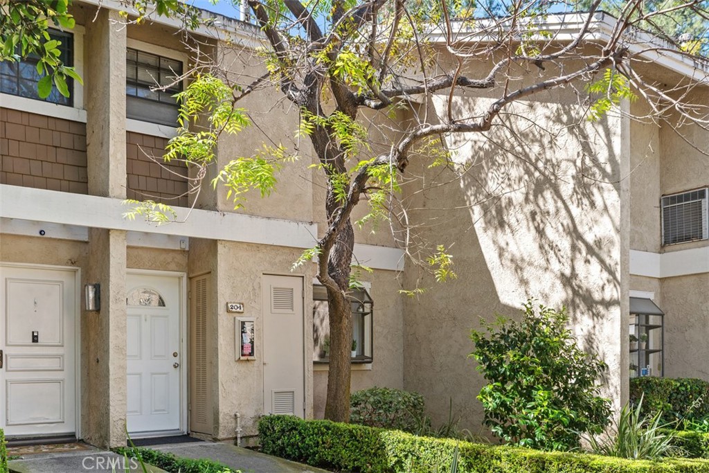 204 Pineview