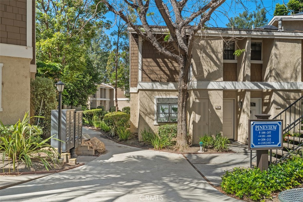 204 Pineview