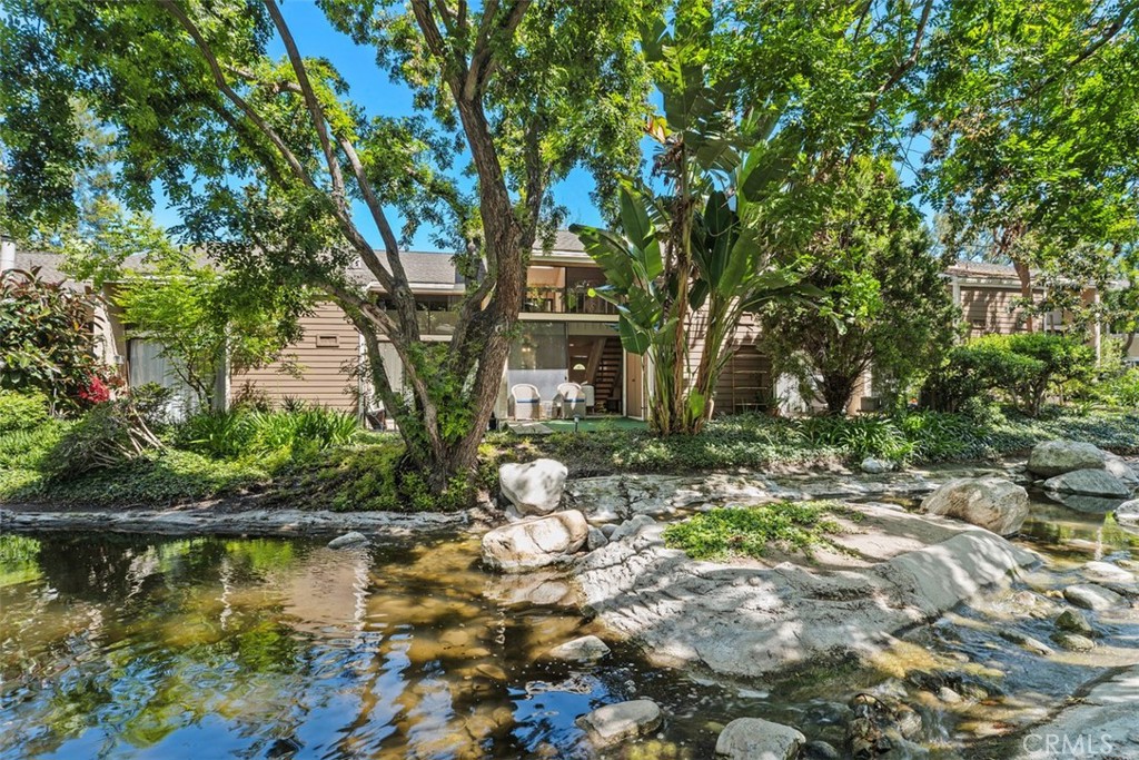 204 Pineview