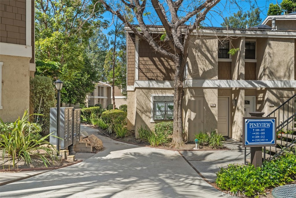 204 Pineview