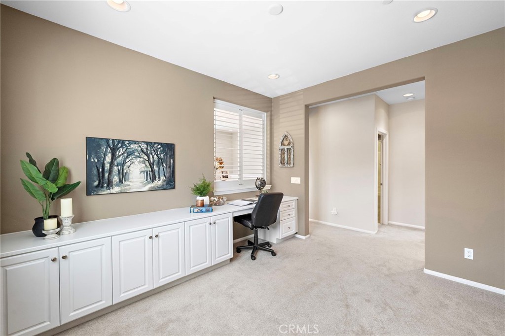 11514 Elderberry