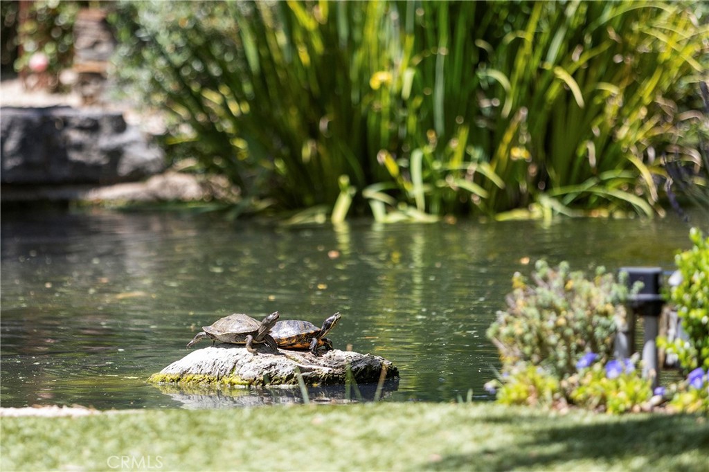 31922 Paseo Monte Vista