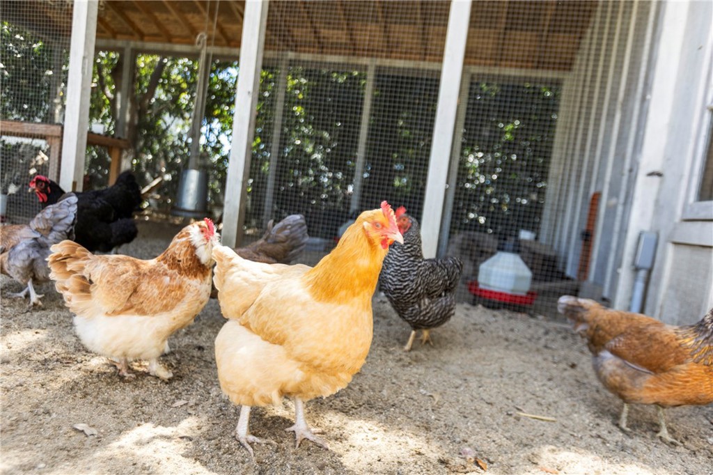 31922 Paseo Monte Vista