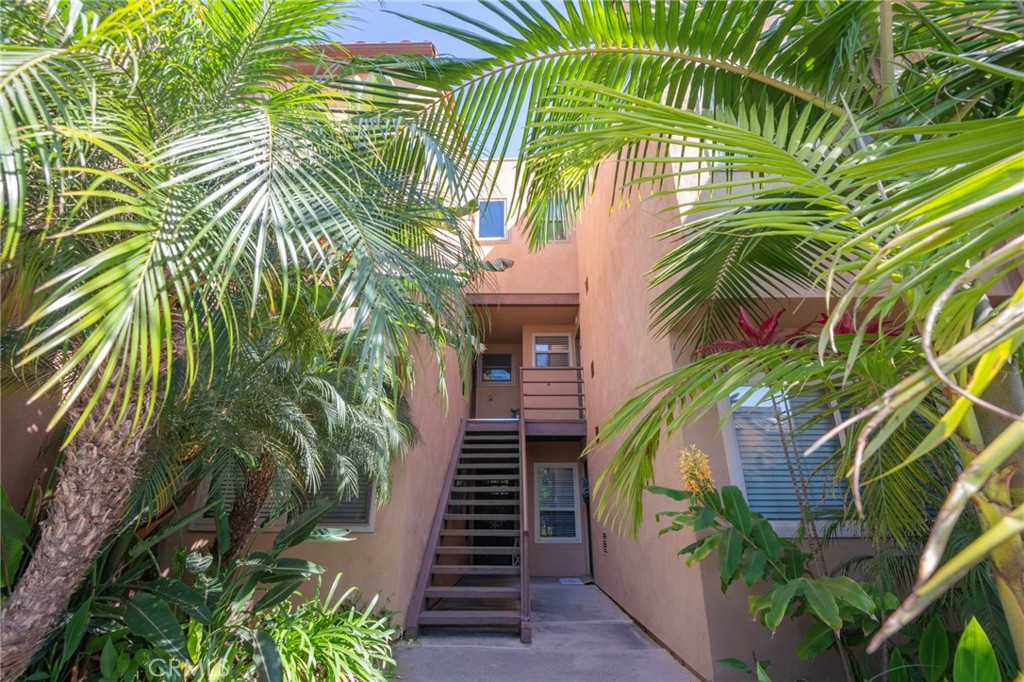 305 Coral Reef 4