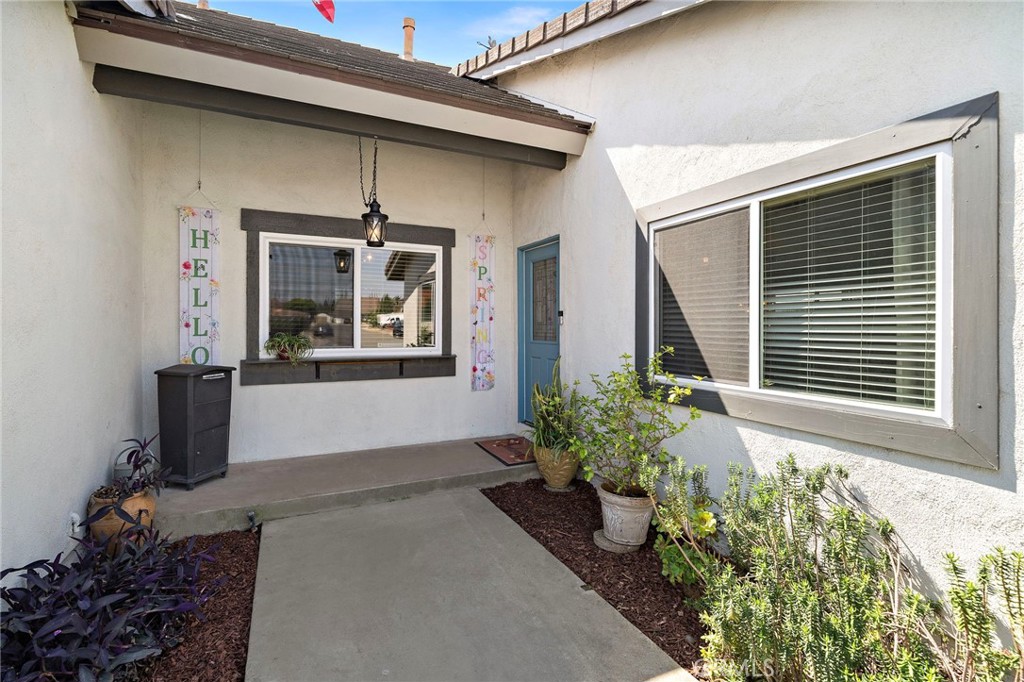 11088 Blue Allium Avenue