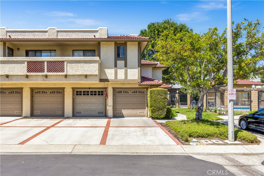 25231 Tanoak