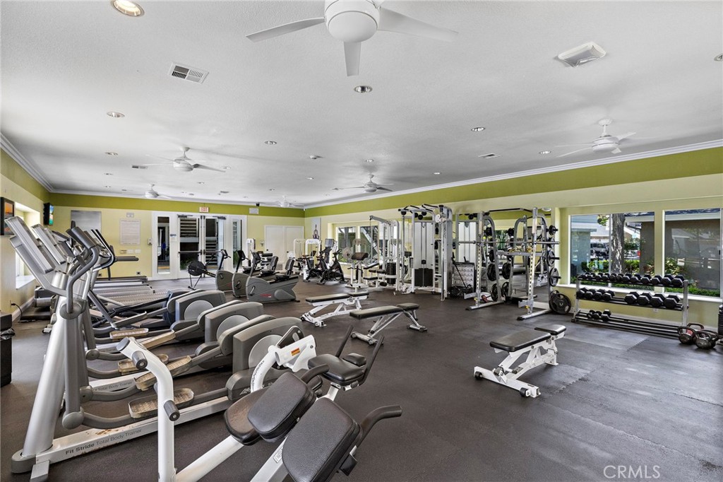 23412 Pacific Park 17k